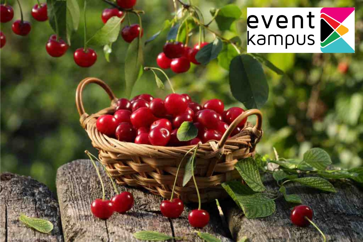 Manfaat Buah Ceri - Eventkampus.com