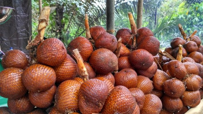 4 Kondisi Kesehatan Seseorang yang Harus Hindari Makan Salak, Bisa Bahaya -  Tribunmanado.co.id